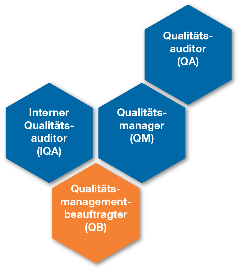 Qualitätsmanagement Struktur